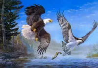 Пазл Две птицы