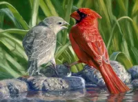 Пазл Две птицы 