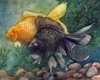 Пазл Две рыбки
