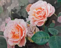 Пазл Две розы