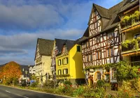 Пазл Эдигер-Эллер