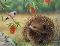 Пазл Ехидна и птица 