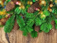 Пазл Еловые ветки