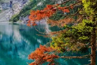 Пазл Эшинензе