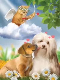 Пазл Это любовь