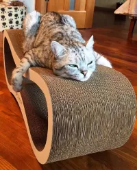 Пазл Это моё