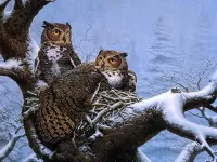 Пазл Филины