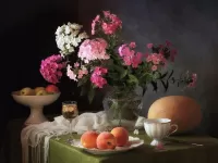 Пазл Флоксы