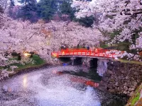 Пазл Flowering trees