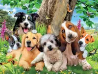 Пазл Фото друзей