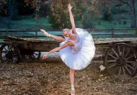 Пазл Фотосессия