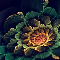 Пазл Фракталы