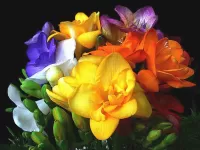 Пазл Фрезия букет