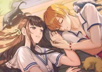 Пазл Fruits Basket