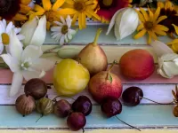 Пазл Фрукты