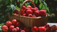 Пазл Фруктовая корзинка