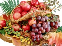 Пазл Яблоки и виноград
