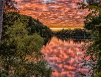 Пазл Garden of Eden