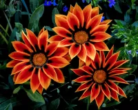 Пазл Газания