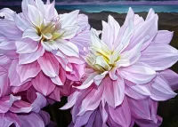 Пазл Георгины