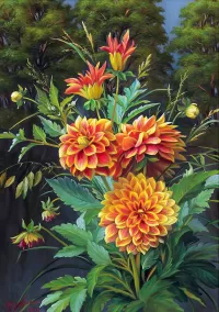 Пазл Георгины