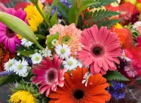 Пазл Герберы