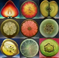 Пазл Гиперреализм