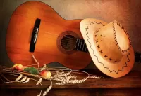 Пазл Гитара и шляпа