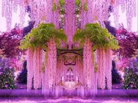 Пазл Глициния