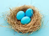 Пазл Гнездо