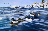 Пазл Гоголи на воде