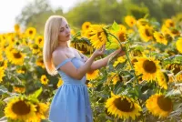 Пазл Голубой и жёлтый