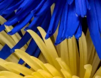 Пазл Голубой и жёлтый