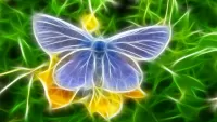 Пазл Голубой мотылек