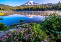 Пазл Гора Rainier 