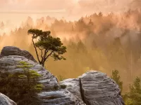 Пазл Горы Китая