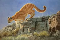 Пазл Горный лев
