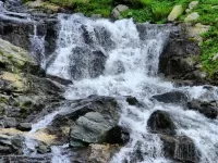 Пазл Горный ручей