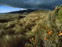 Пазл Горное плато