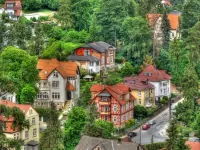 Пазл Городок в лесу