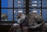 Пазл Городские сумерки