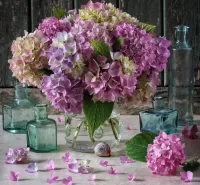 Пазл Гортензия