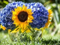 Пазл Гортензия_подсолнух