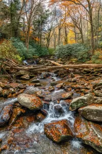 Пазл Great Smoky Mountains National Park