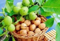 Пазл Грецкие орехи
