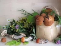 Пазл Грибы и травы