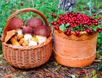 Пазл Грибы и ягоды 