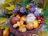 Пазл Грибы в корзине