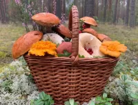 Пазл Грибы в корзине 