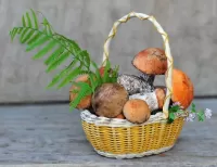 Пазл Грибная корзинка
